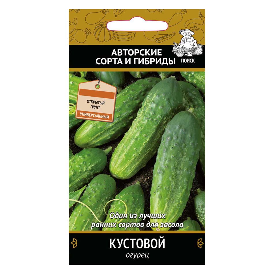 Огурец кустовой отзывы фото. Кустовые сорта огурцов самоопыляемые. Кустовые огурцы для открытого грунта самоопыляемые сорта. Огурец кустовой Аэлита. Кустовые сорта огурцов для открытого грунта.