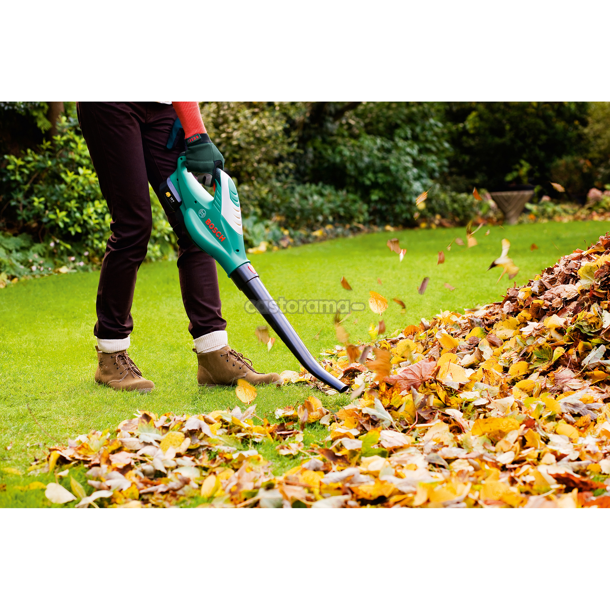 Leaf Blower Pussy