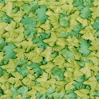 Самоклеящаяся пленка Farbe 3982, 0.45 х 2 м, листья